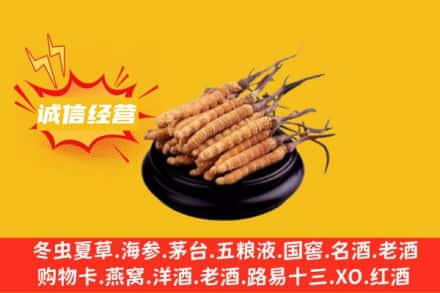温州乐清市回收冬虫夏草